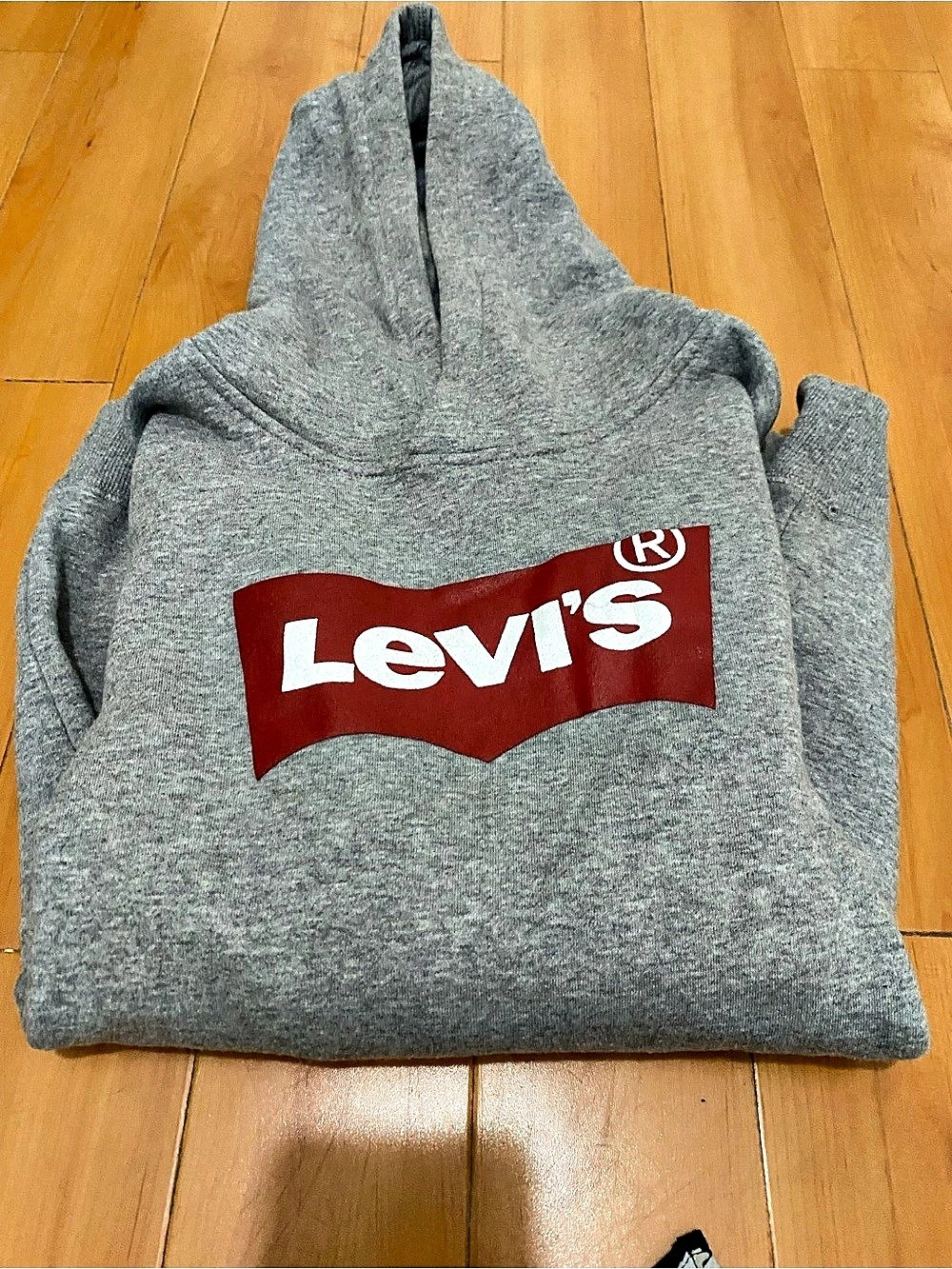 Levi's Boys Size 10 Gray Logo Hoodie